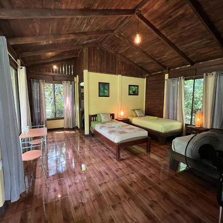 Bed and Breakfast Casita Lidia Bijagua Zewnętrze zdjęcie