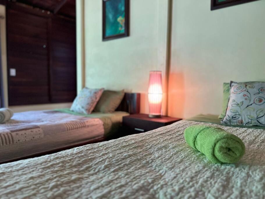Bed and Breakfast Casita Lidia Bijagua Zewnętrze zdjęcie